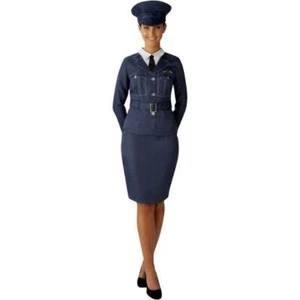 Rubies WRAF Airforce Women's Fancy Dress Costume - Picture 1 of 2