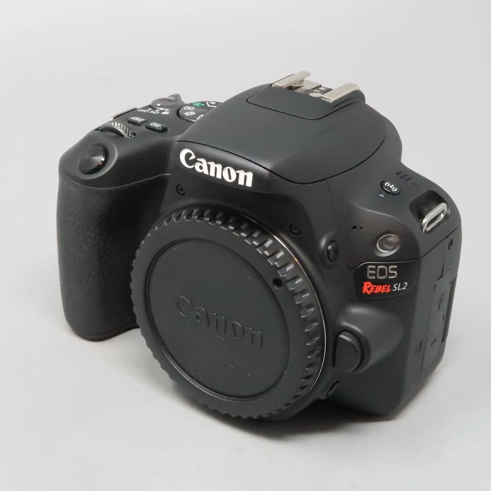 Cámara digital Canon EOS Rebel SL2 24,2 mega píxeles - (solo cuerpo) Foto 1 de 4