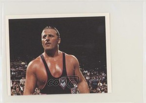 1997 Panini WWF Superstars Album Stickers Owen Hart #139