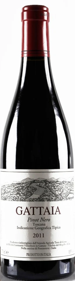 6 BOTTLES PINOT NERO 2021 IGT TOSCANA GATTAIA terre di giotto - Immagine 1 di 1