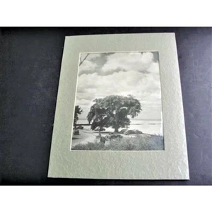 1950er, Golden Park, Lake Erie, Foto des Cleveland Fotografen Perry Cragg. - Bild 1 von 5