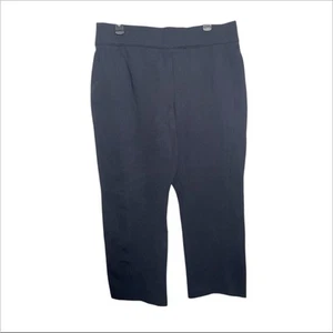 Spanx Hose Damen marineblau SPANXsmooth perfekte Passform Ponte gerade Größe 1X Petite - Bild 1 von 3