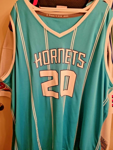 Gordon Hayward Charlotte Hornets Fanatics Branded Fast Break Replica Jersey- 5XL Cover