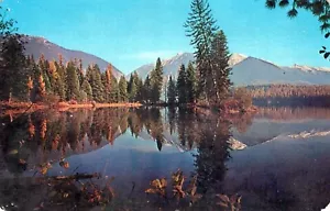 Postal Holland Lake Swan Mountains Swan Valley Idaho - Imagen 1 de 2
