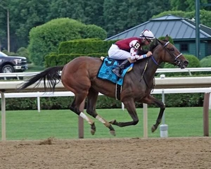COLOR PHOTO - THORPEDO ANNA FAN Favorite - Winning the Acorn @ Saratoga #2 - Picture 1 of 1