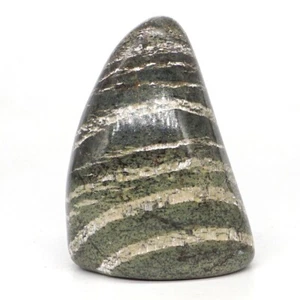 221g Natural Gem Green Zebra Jasper Crystal Palm Stone Material Energy Specimen - Imagen 1 de 5