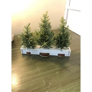 Herz & Hand mit Magnolie Neu mit Etikett Mini Zypresse Baum Set 3-teilig - Bild 1 von 8