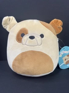Squishmallow Griz the Bulldog Plush Stuffed Animal Toy 7 Inches NWT - Picture 1 of 7