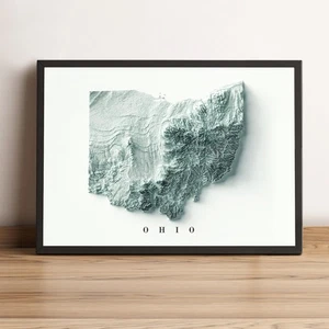 Ohio Map, Ohio 2D Relief Map, Ohio Vintage Map - 2D Flat Print - Picture 1 of 9