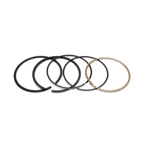 Genuine KOHLER 4510813 - 45 108 13-S RING SET .030 - Picture 1 of 1