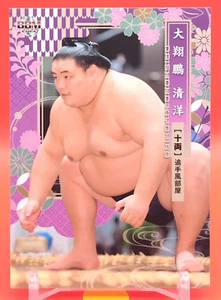 Tarjeta coleccionable Daisyoho Kiyohiro/luchador de sumo BBM TCG Japón japonés #55 - Imagen 1 de 10