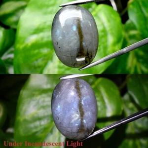 Big! 34.25ct Oval Cabochon Natural Rainbow With Luster Labradorite Gemstone - Picture 1 of 6