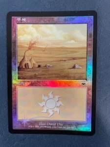 MTG JAPANESE FOIL ONSLAUGHT PLAINS NM MAGIC THE GATHERING BASIC LAND #334 CARD - Picture 1 of 6