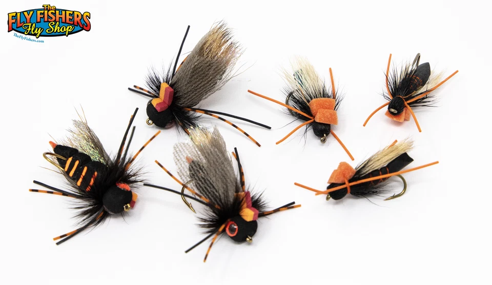 Paquete de 6 moscas de pesca de cigarra - Rainy's Flies Ultimate Cicada & Criss-Cross Cicada Foto 1 de 1