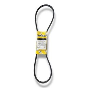 Correa de transmisión auxiliar original Renault 11x1181LA 77.00.731.789 DAYCO OEM - Imagen 1 de 3