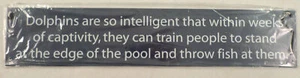A Dolphins Intelligence Funny Novelty Tin Metal Wall Sign Humorous Comedic Quote - Picture 1 of 1