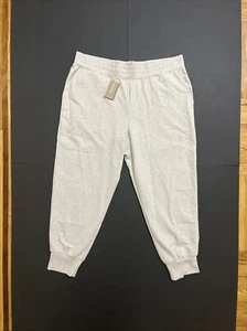 Patagonia Women's Ahnya Jogger Pants Dyno White Sz XL NWT $89 Regular Fit - Picture 1 of 12