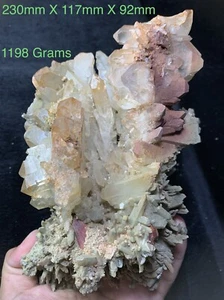 Collezione Combo Di Quarzo Cloro Con Esemplare A Grappolo Brookite Dal Pakistan - Foto 1 di 11