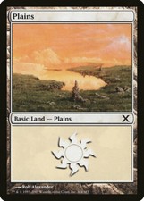 Plains (#364) - Foil 10th Edition MP MTG