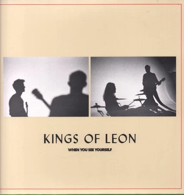 Kings of Leon When You See Yourself double LP vinyl Europe Rca 2021 black vinyl - Imagen 1 de 3
