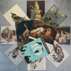 Anthropomorphe VOGEL Eule Wahrsagerin Krähe und russische Postkarten 1957 Set 10🦉 - Bild 1 von 14