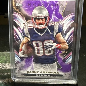 2024 Topps Inception - Danny Amendola #96 - "VIOLA" /125 New England Patriots - Foto 1 di 2