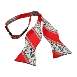 Set Sense Bowtie Red & Silver Paisley Stripe Pattern Men's Bow Tie Adjustable - Picture 1 of 3