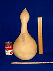 Tall Bottle/Birdhouse Gourd - 14 1/2" X 24" - Dried