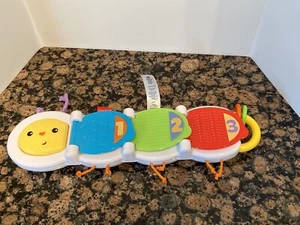 Fisher-Price Flip & Surprise Caterpillar Developmental Learning Baby Toy - Picture 1 of 4