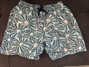 Vilebrequin Boys Swim Trunks Size 14 - Picture 1 of 6