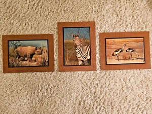 Passepartout Wand Foto Tierkunst Afrikanisches Nashorn Zebra grau gekrönt Kranich - Bild 1 von 6