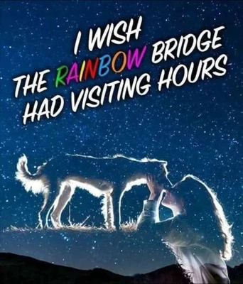 RAINBOW BRIDGE PET STICKER X VYNIL HIGH-GLOSS STICKER X 2.5 X2.5 X PET STICKER - Image 1 of 4