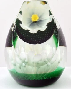 Caithness Limited Edition 200/350 Daisy Daisy Domed Glass Paperweight - Picture 1 of 6