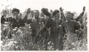 Russland Feldzug 14.08.1942 Kampf bei Nikitskoje  Gefangene prisoners of war - Bild 1 von 1