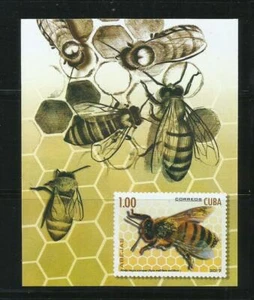 CARIBE. Año: 2017. Tema: FAUNA. ABEJAS. - Imagen 1 de 1
