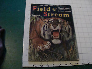 Check it out: orig. FIELD & STREAM August 1936 TIGER Cover