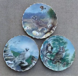 SPODE - BRITISH OWLS by DAVID A. FINNEY - SELECTION OF PLATES. - Picture 1 of 14