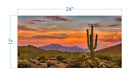 Terrarium Background Sunset Desert - vinyl graphic adhesive TR0010