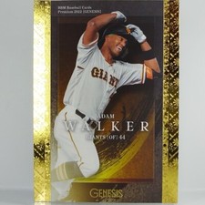 Adam Brett Walker BBM Baseball Cards Premium 2022【GENES】