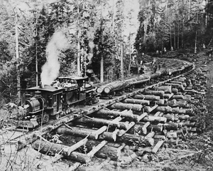 Locomotive Logging Train On Crib Trestle Bridge 1902 Photo Columbia City OR 8X10 - Picture 1 of 2