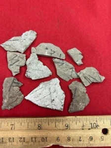 GEOLOGICAL ENTERPRISES Ordovician fossil lot of 10 graptolites Oklahoma - Picture 1 of 4