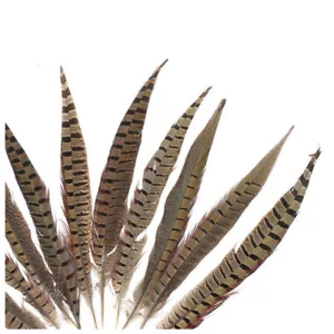 Natural Pheasant Tail Feathers 12-14 inche/30-35cm 10PCS Carnival Diy costume - Picture 1 of 4