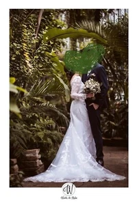 Elegant Lacy Wedding Dress with Train & Long Sleeves, Cinched Waist Size 4 - 6 - Picture 1 of 4