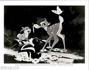 1989 Vintage Photo Still Bambi Walt Disney movie film thumper skunk Flower - Picture 1 of 2