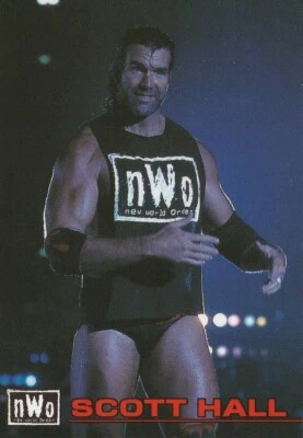 Scott Hall 1998 Bandai New Japan Pro Wrestling #88 Foto 1 de 2