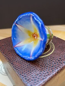 Caja de baratijas Rochard Limoges Francia Peint Main Blue Morning Glory - pintada a mano - Imagen 1 de 11