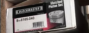 Juego de 8 pistones Blockmaster/Hi-Tech 6165-040 - Imagen 1 de 2