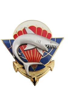 TDM PARACHUTISTES DU 2° RPIMa LA 1° COMPAGNIE (REQUIN ARGENTE MAT) Y. DELSART - Picture 1 of 2