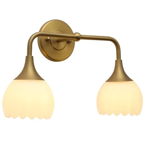Bathroom Vanity Light Fixtures, Hardwired 2-Light Modern Sconces Wall Light O... - Picture 1 of 9