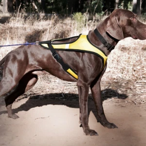 Howling Dog Alaska TOUGH SKIN™ ARNÉS ULTRA arnés de tracción/Canicross Dogscooting - Imagen 1 de 3